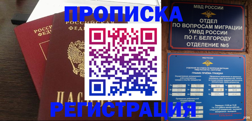 прописка для школы в Камышине